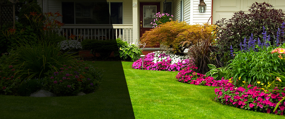 Hawthorne Landscapers